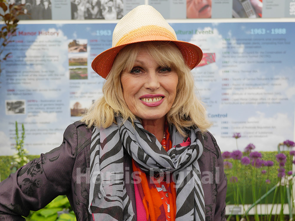 Chelsea Flower Show - photography by Harris Digital